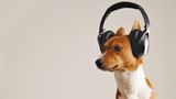 Навушники з шумозаглушенням можуть спричинити проблеми зі слухом: шокуюче дослідження
