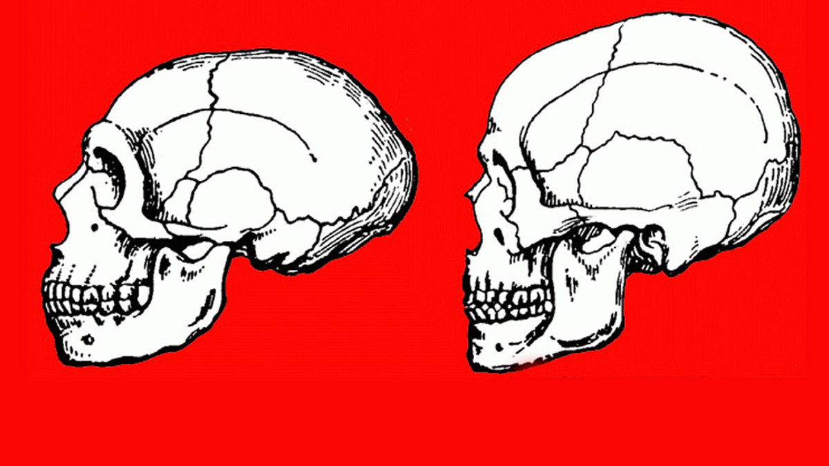 Британські вчені пояснили причини смерті неандертальців - фото 1
