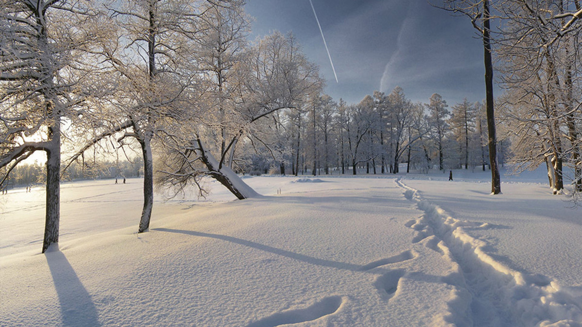 Львів готується до нового снігопаду - фото 1