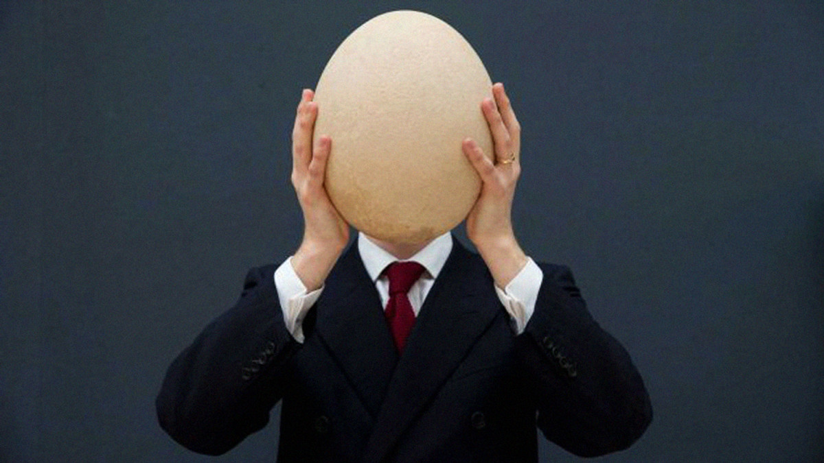 Найбільше у світі яйце виставили на аукціон - фото 1