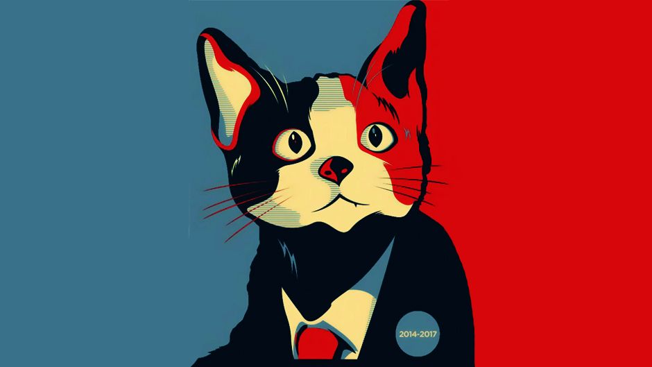 Кіт набрав 600 голосів на виборах мера в Мексиці