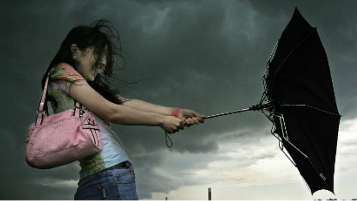 В Україні оголошене штормове попередження - фото 1