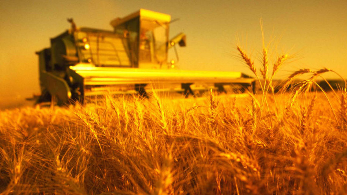 Азаров: Україна збере рекордний урожай - фото 1
