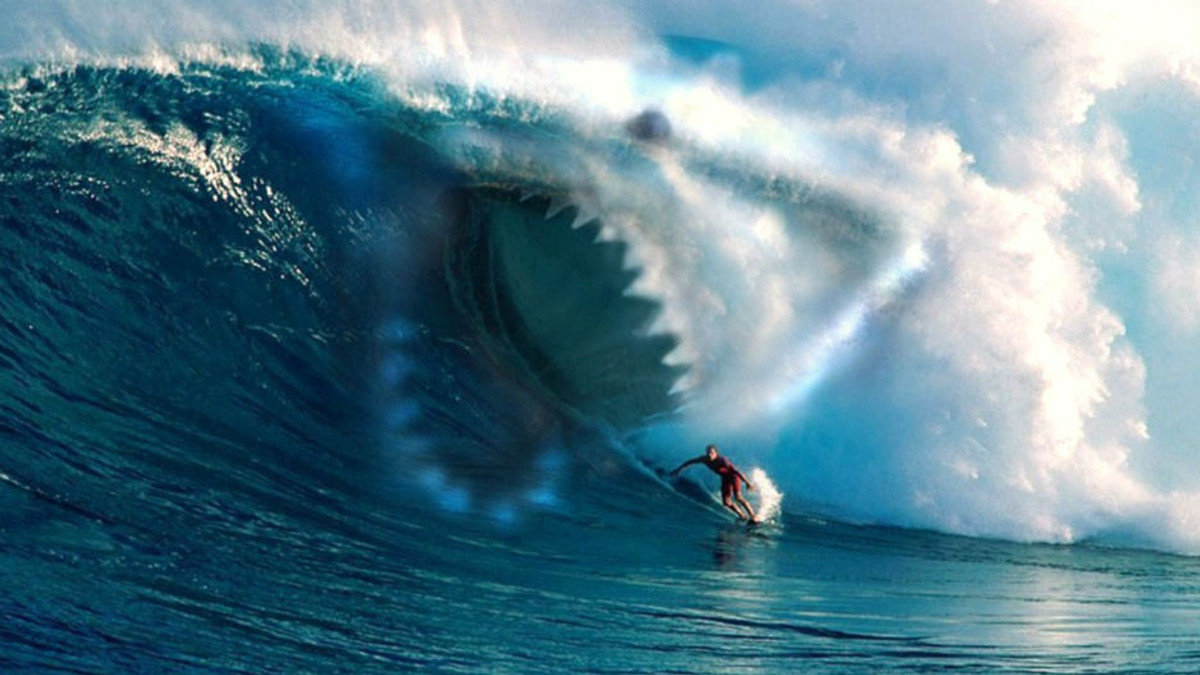 В Австралії серфінгіст загинув після нападу акули - фото 1