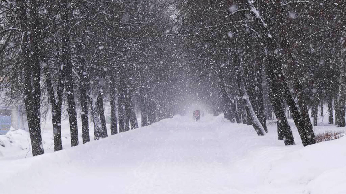 Два дні в Україні будуть налипання снігу та ожеледиця - фото 1