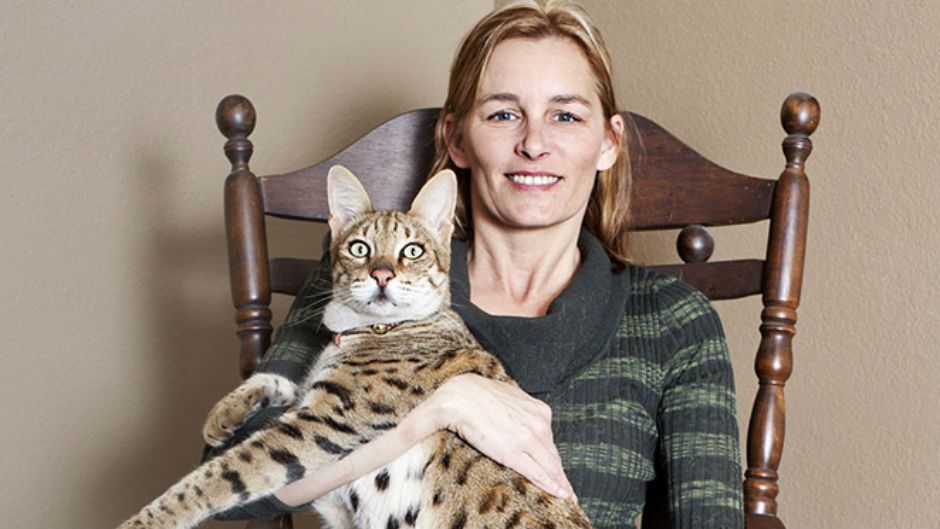 Найвищий кіт на планеті проживає у Каліфорнії