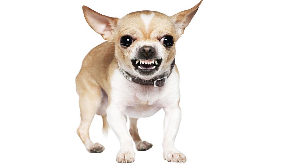 Проукраїнським активістам погрожують помстою - фото 1