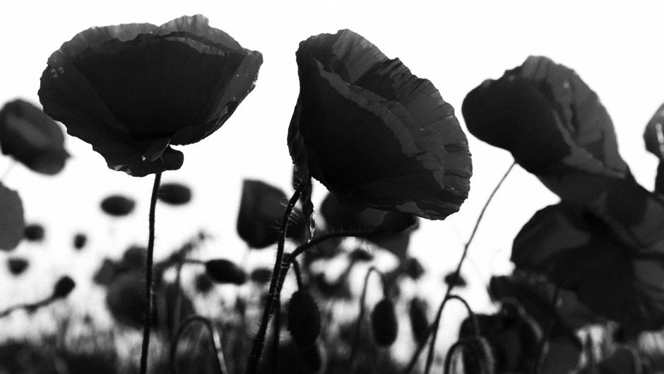 У Львові вшанували загиблих у 2-й світовій війні (Фото) - фото 1