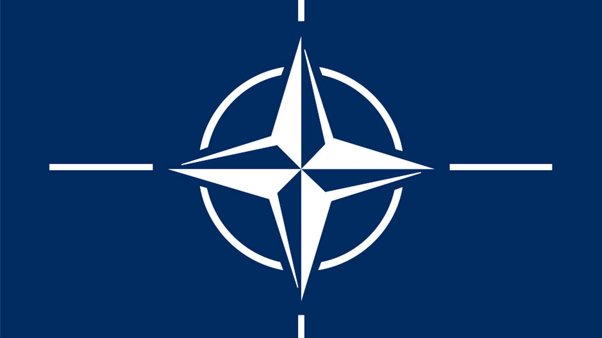 Угорщина запросила Україну на навчання NATO - фото 1