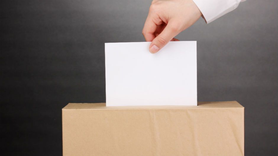 Нинішні вибори рекордні за кількістю іноземних спостерігачів - фото 1