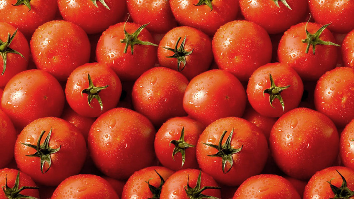 Під Раду принесли 200 кг помідорів (Фото) - фото 1