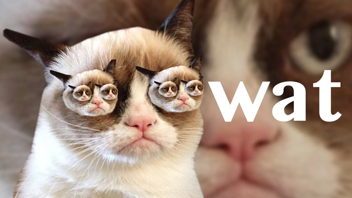 Grumpy Cat заробив більше, ніж Kanye West і Rihanna - фото 1