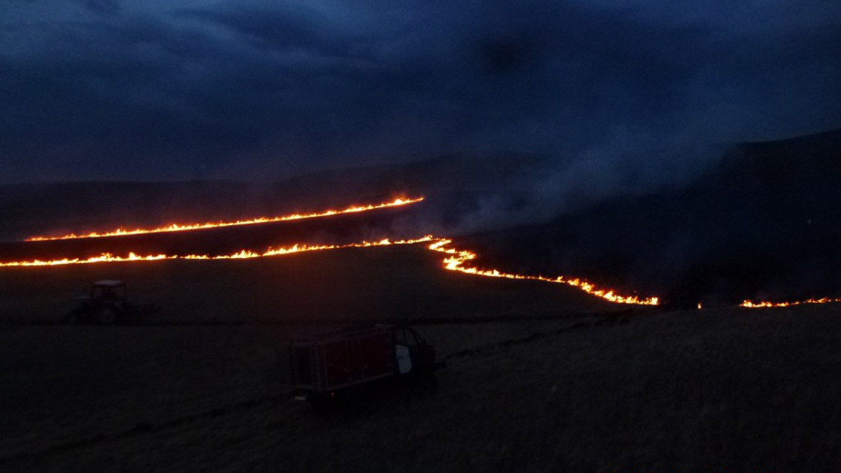 Лісові пожежі в Росії добираються до Іркутська - фото 1