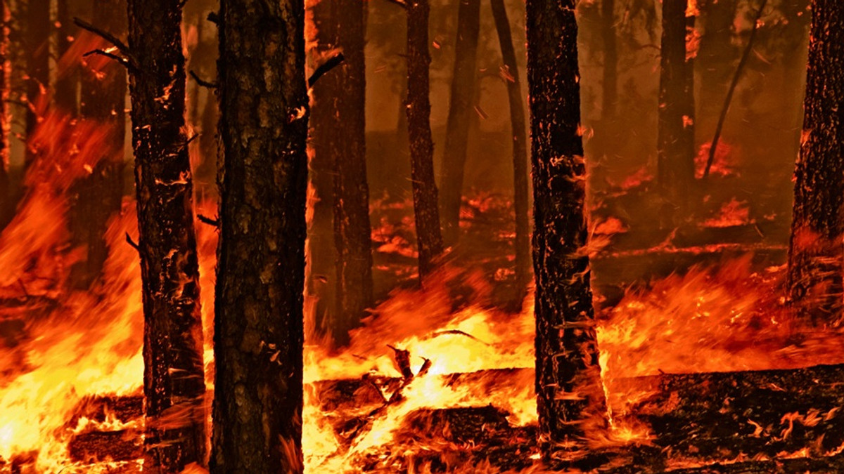 У Сибіру продовжує горіти понад 100 тисяч гектарів лісу - фото 1