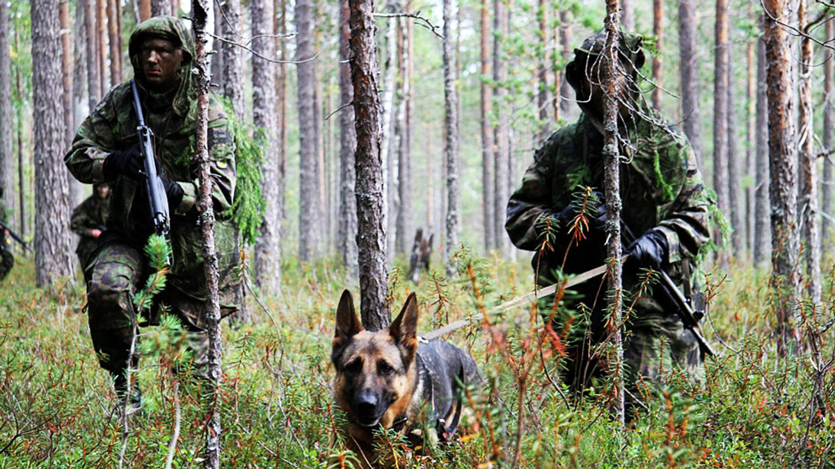 Фінляндія почала готувати армію на випадок війни з Росією - фото 1