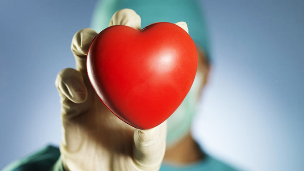 Французькі вчені створили 3D-модель людського серця - фото 1