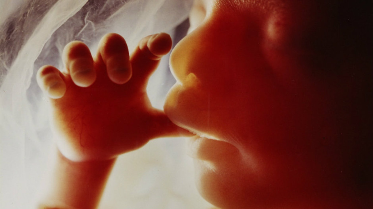 Науковці хочуть генетично модифікувати ембріони - фото 1