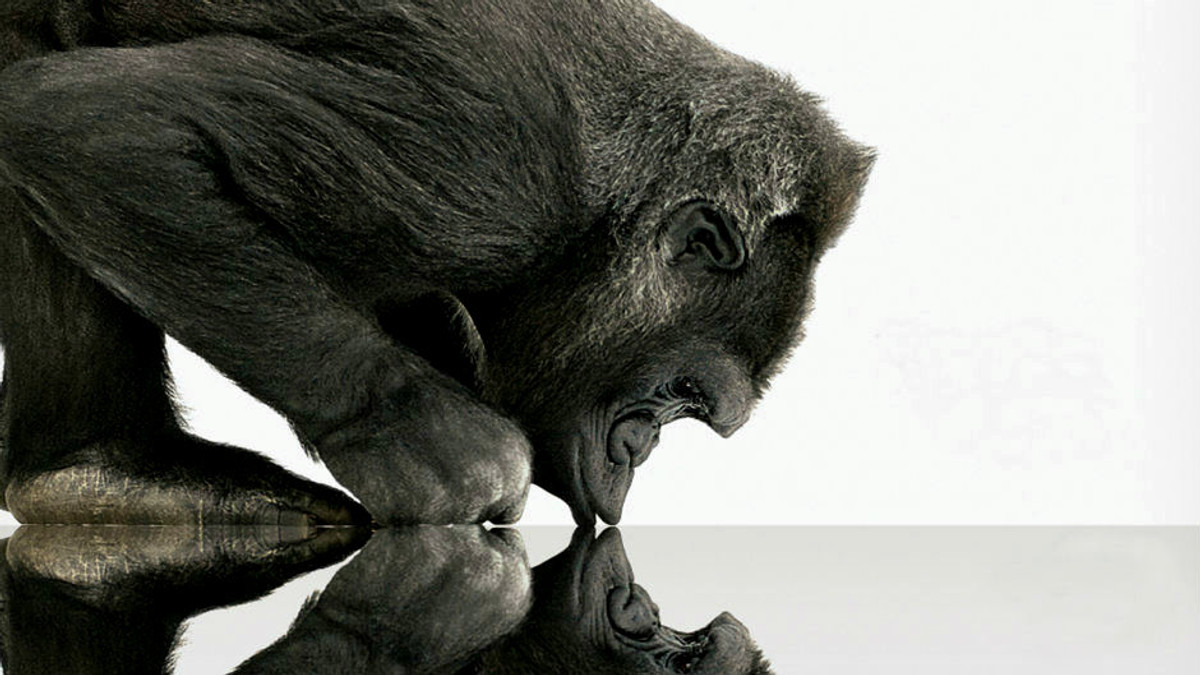 Дослідники довели, що Gorilla Glass застаріло - фото 1