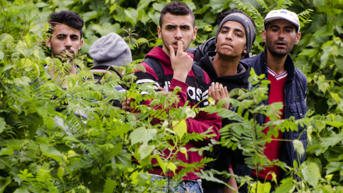 Хорватія не пускає мігрантів з Сирії - фото 1