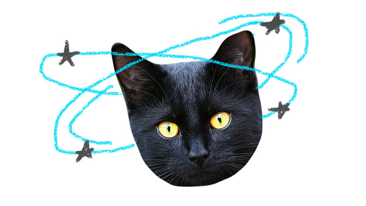 Роботу CSS-селекторів пояснили на кошенятах - фото 1