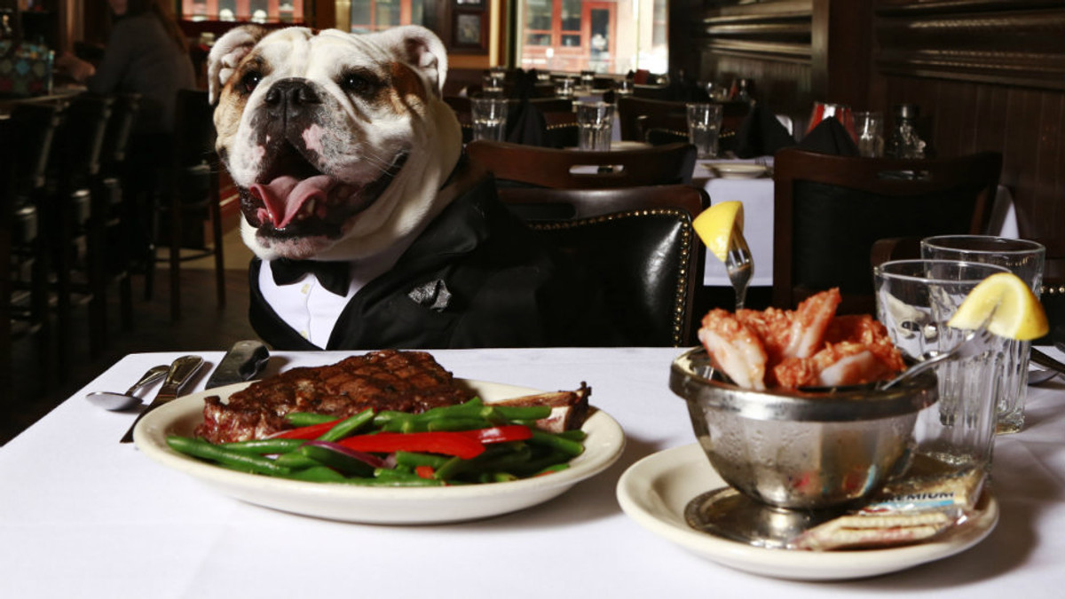 У Нью-Йорку собаки отримали право обідати у ресторанах - фото 1