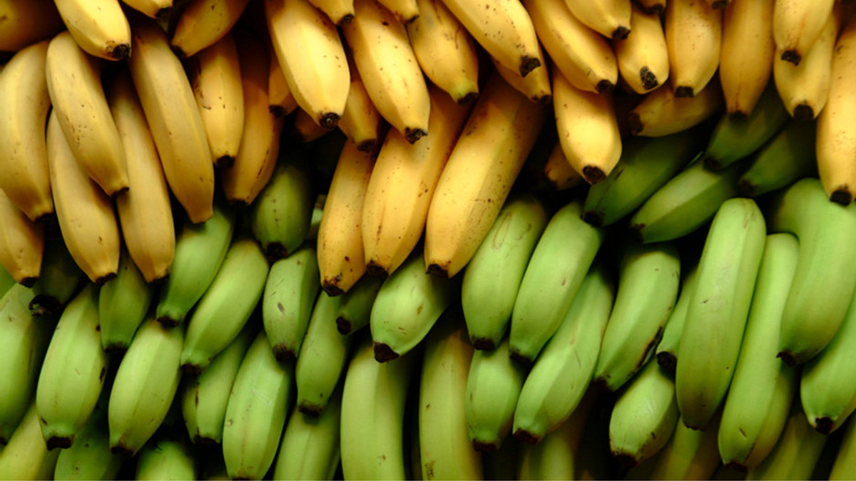 Біологи розробляють «бананові» ліки від грипу - фото 1