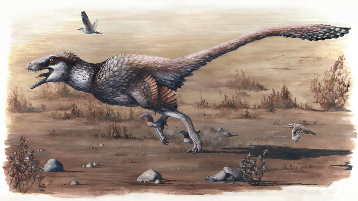 Знайдений найбільший пернатий динозавр - фото 1