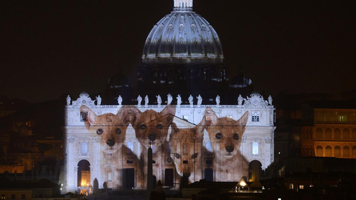 Ватикан виступив на підтримку рідкісних видів тварин - фото 1