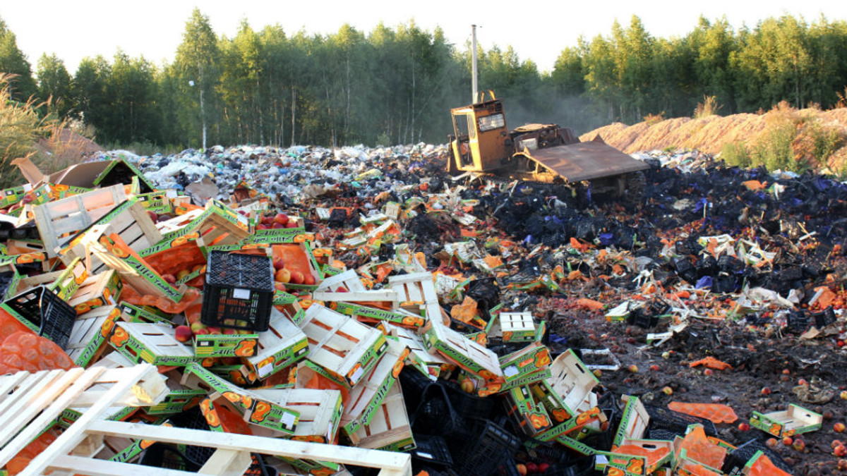 У Росії знищили 57 тонн білоруських фруктів - фото 1