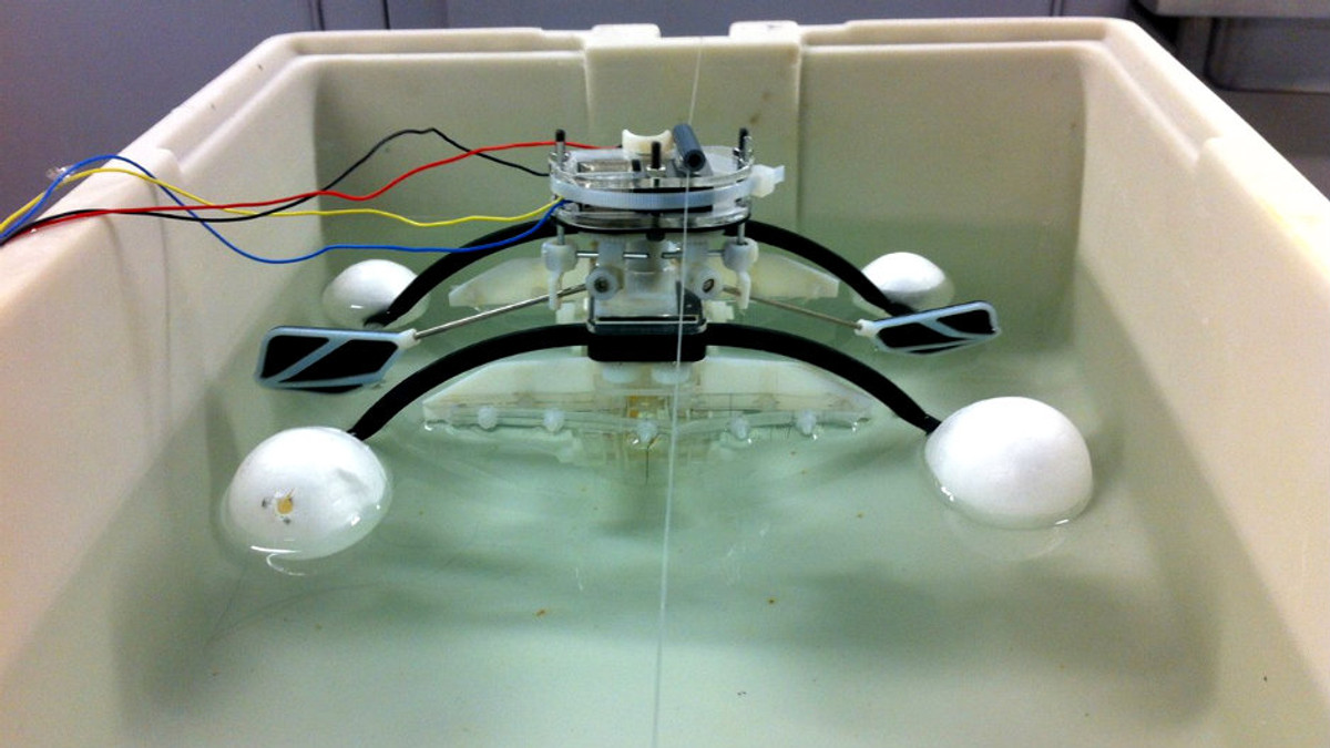 Робот буде отримувати енергію з брудної води - фото 1
