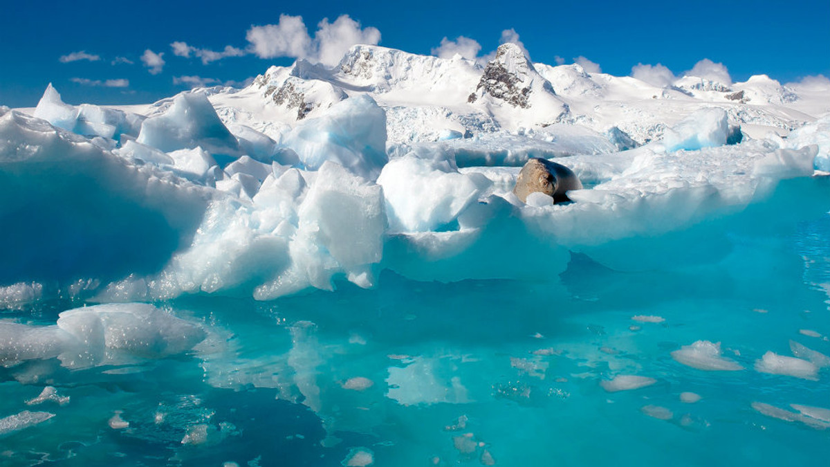 Найбільший каньйон на Землі знайшли в Антарктиді - фото 1