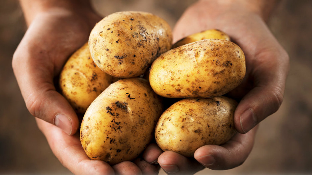 Фото картоплі продали за €1 млн - фото 1