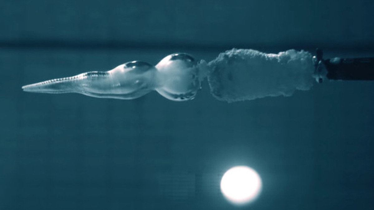 Вчений заради експерименту вистрілив у себе під водою (Відео) - фото 1