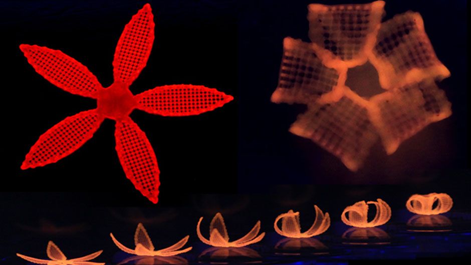 У Гарварді розробили методику 4D-друку (Відео) - фото 1