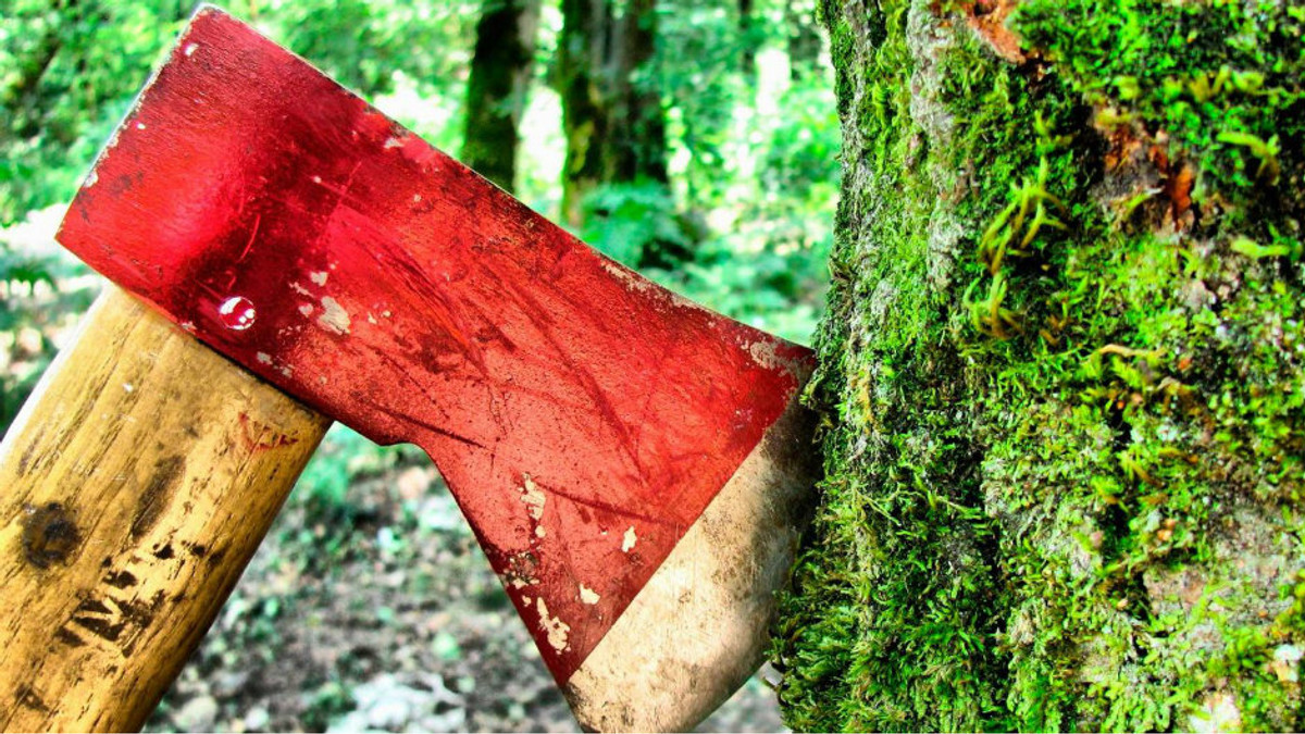 В Албанії заборонили вирубувати дерева - фото 1