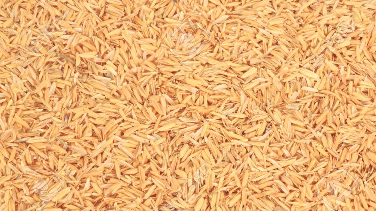 У Херсонській області почали виготовляти брикети з рисового лушпиння - фото 1