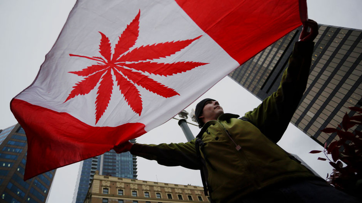 У 2017 році Канада легалізує марихуану - фото 1