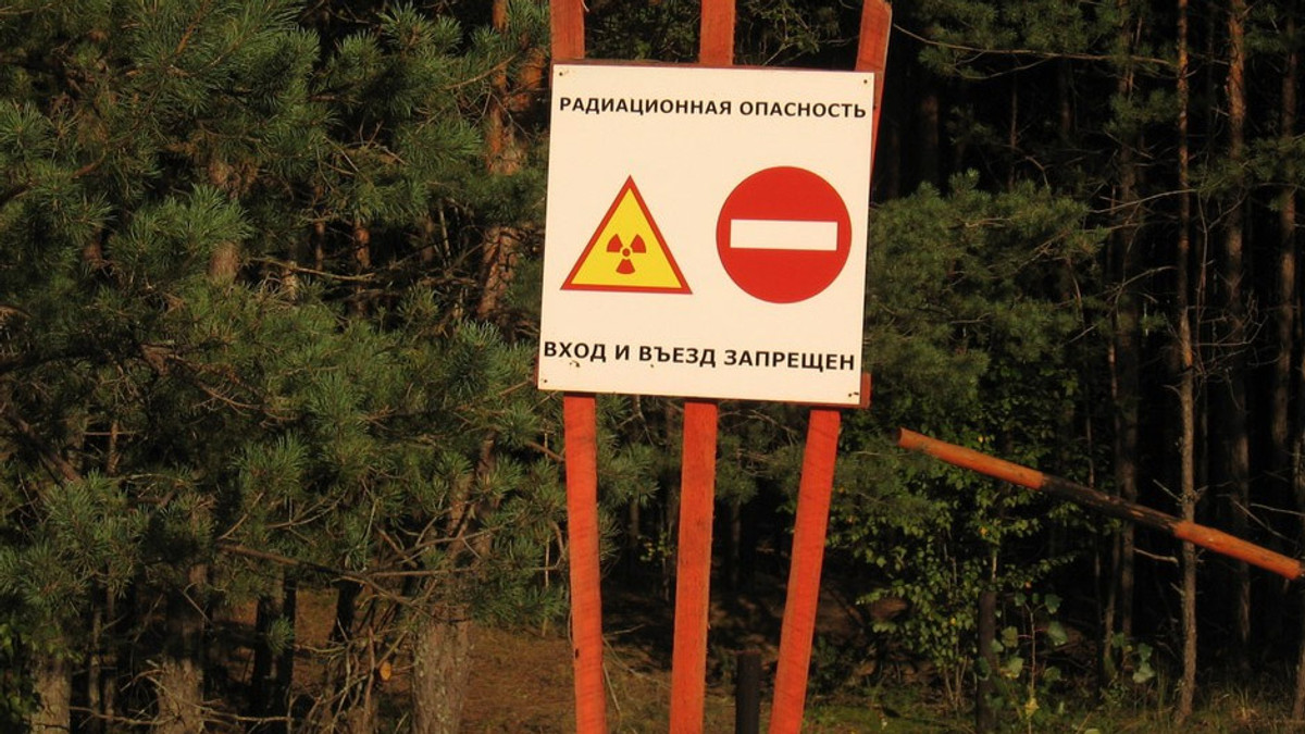ФРН дасть Україні €19 млн для ліквідації наслідків Чорнобиля - фото 1