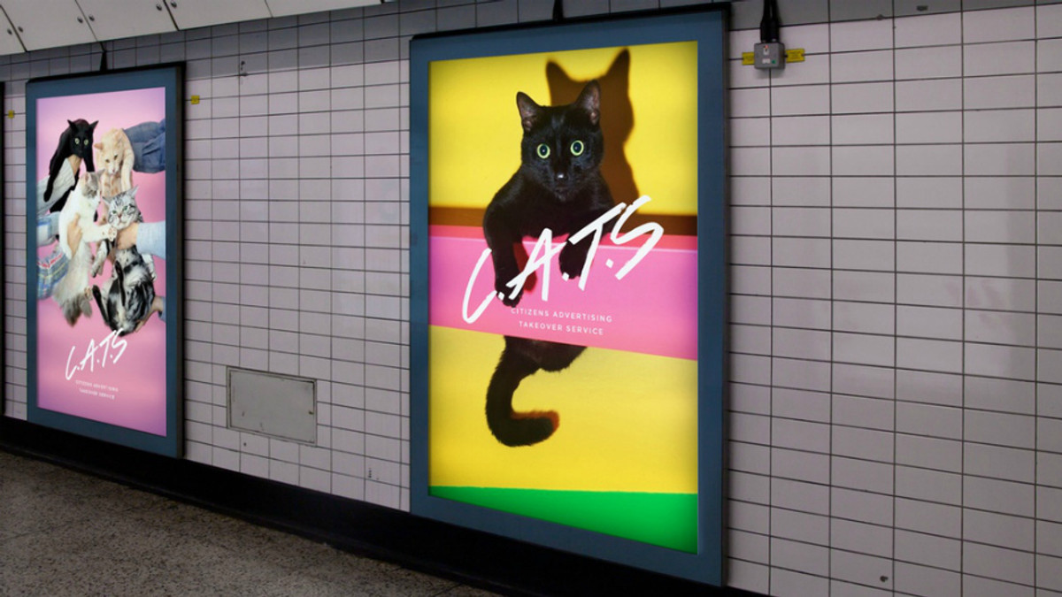 Рекламу у лондонському метро замінять на світлини котиків - фото 1