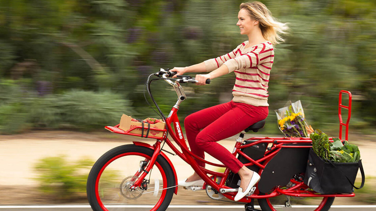 У Франції за покупку електровелосипеда даватимуть €250 - фото 1