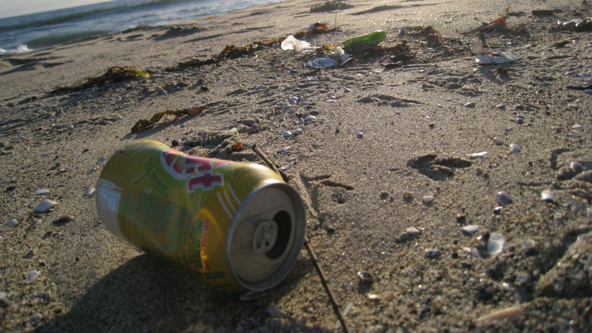 Пляжі Севастополя залиті нечистотами - фото 1