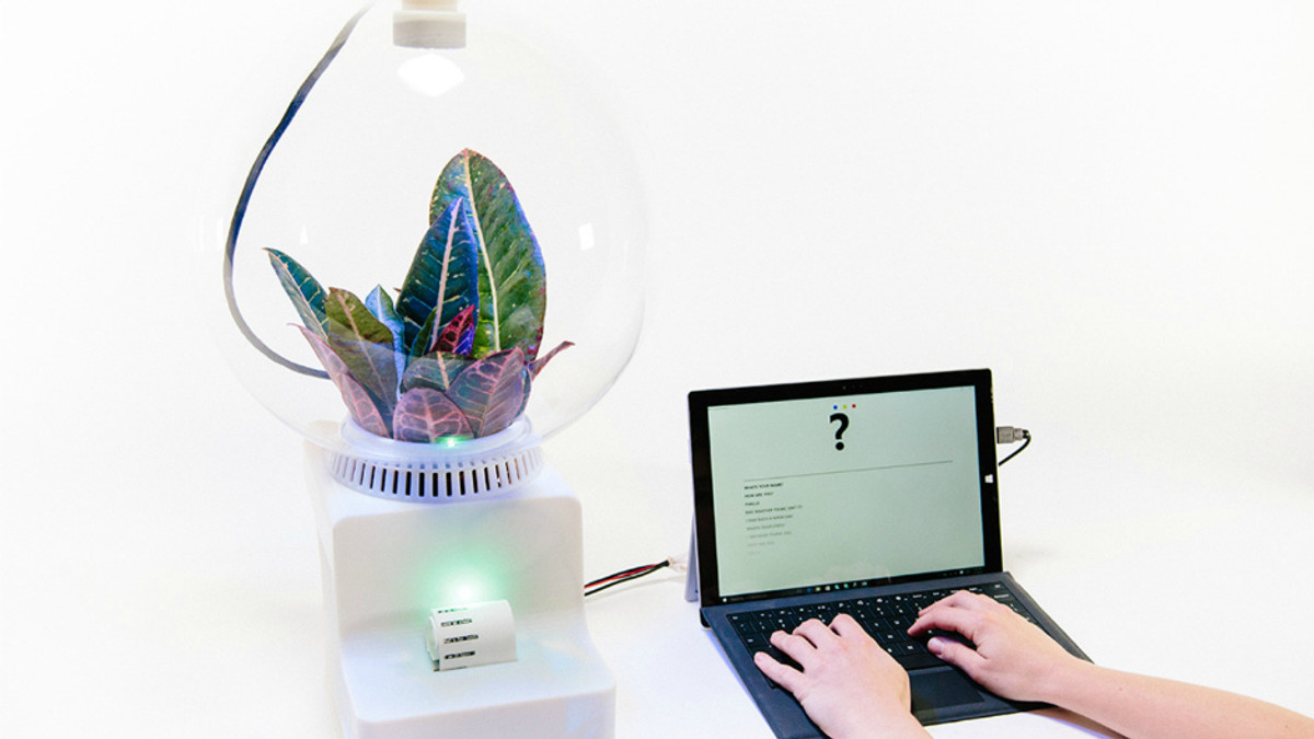 Створили пристрій, який допоможе «спілкуватися» з рослинами - фото 1