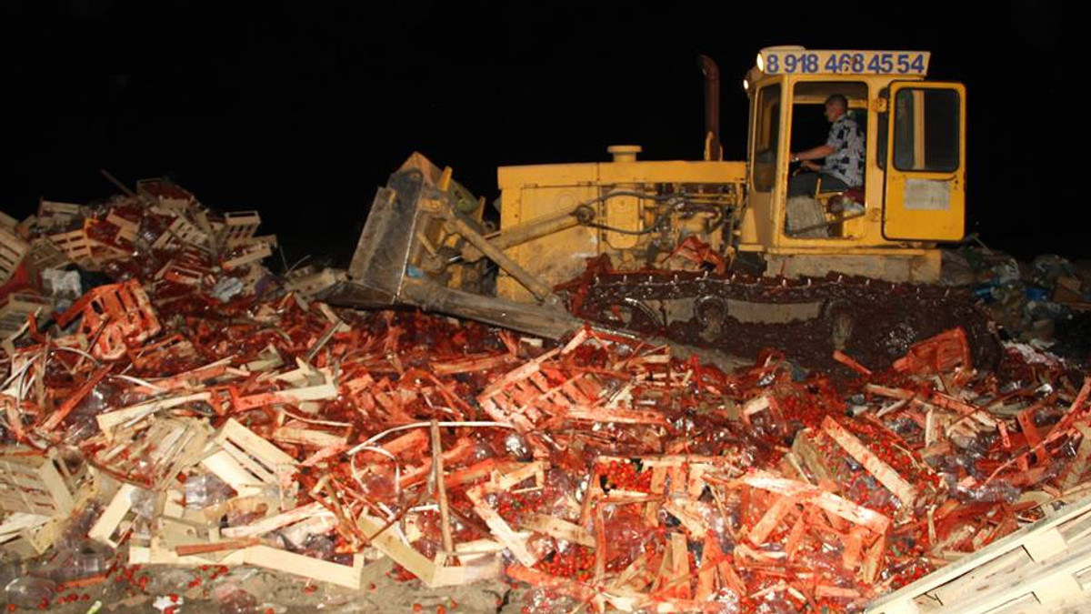 У РФ бульдозером знищили 38 тонн української полуниці - фото 1