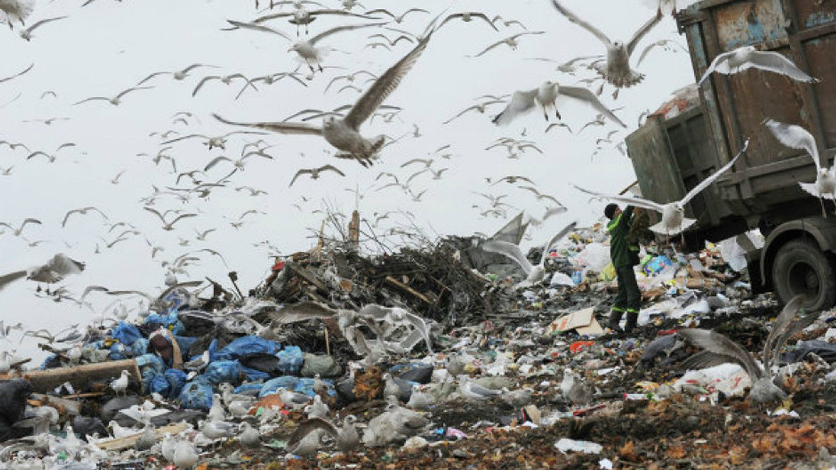 Жодне місто не впорається зі львівським сміттям - фото 1