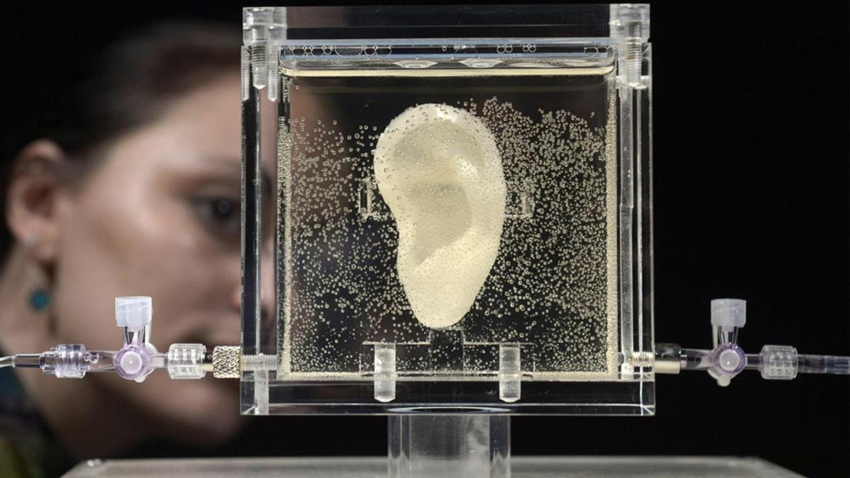 Дослідники розкрили історію відрізаного вуха Ван Гога - фото 1