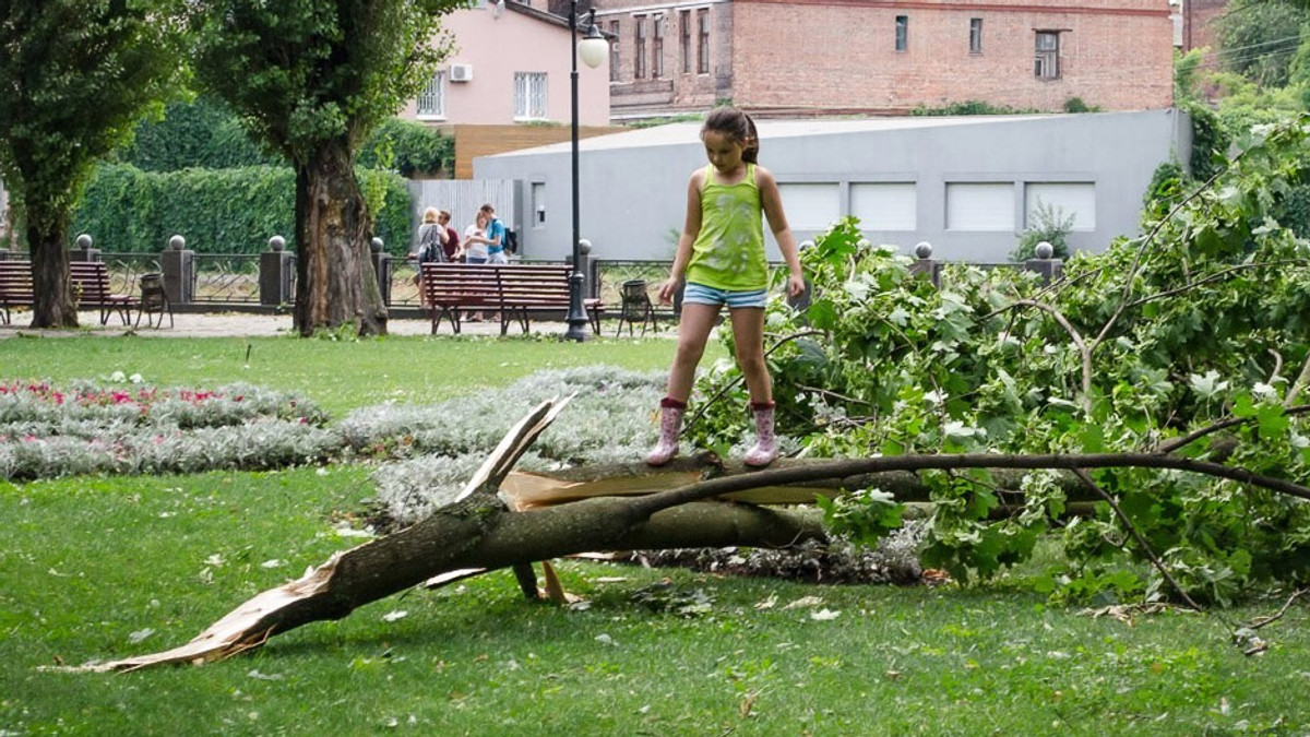 Страхітливий ураган у Харкові потрощив сотню дерев - фото 1