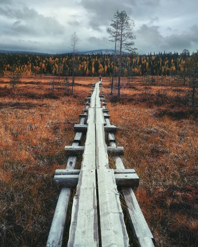 Казкова краса Фінляндії, від якої перехоплює дух: яскраві фото - 303301 Казкова краса Фінляндії, від якої перехоплює дух: яскраві фото - фото 303301