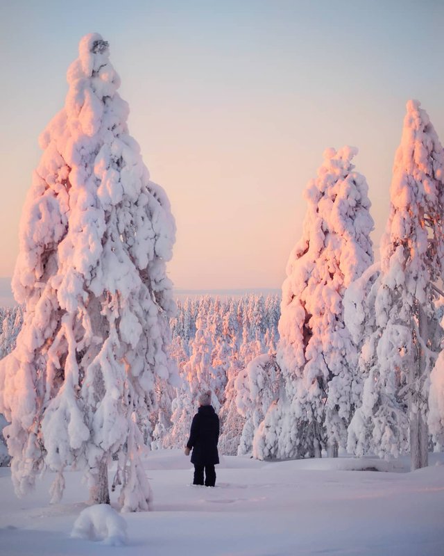 Казкова краса Фінляндії, від якої перехоплює дух: яскраві фото - 303302 Казкова краса Фінляндії, від якої перехоплює дух: яскраві фото - фото 303302