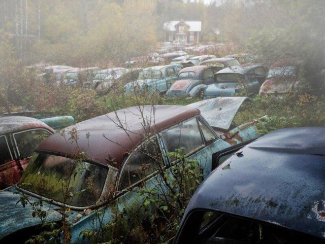 У мережі показали містичні кладовища унікальних автомобілів - 348951 У мережі показали містичні кладовища унікальних автомобілів - фото 348951