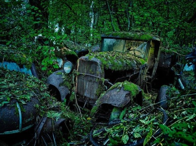 У мережі показали містичні кладовища унікальних автомобілів - 348953 У мережі показали містичні кладовища унікальних автомобілів - фото 348953